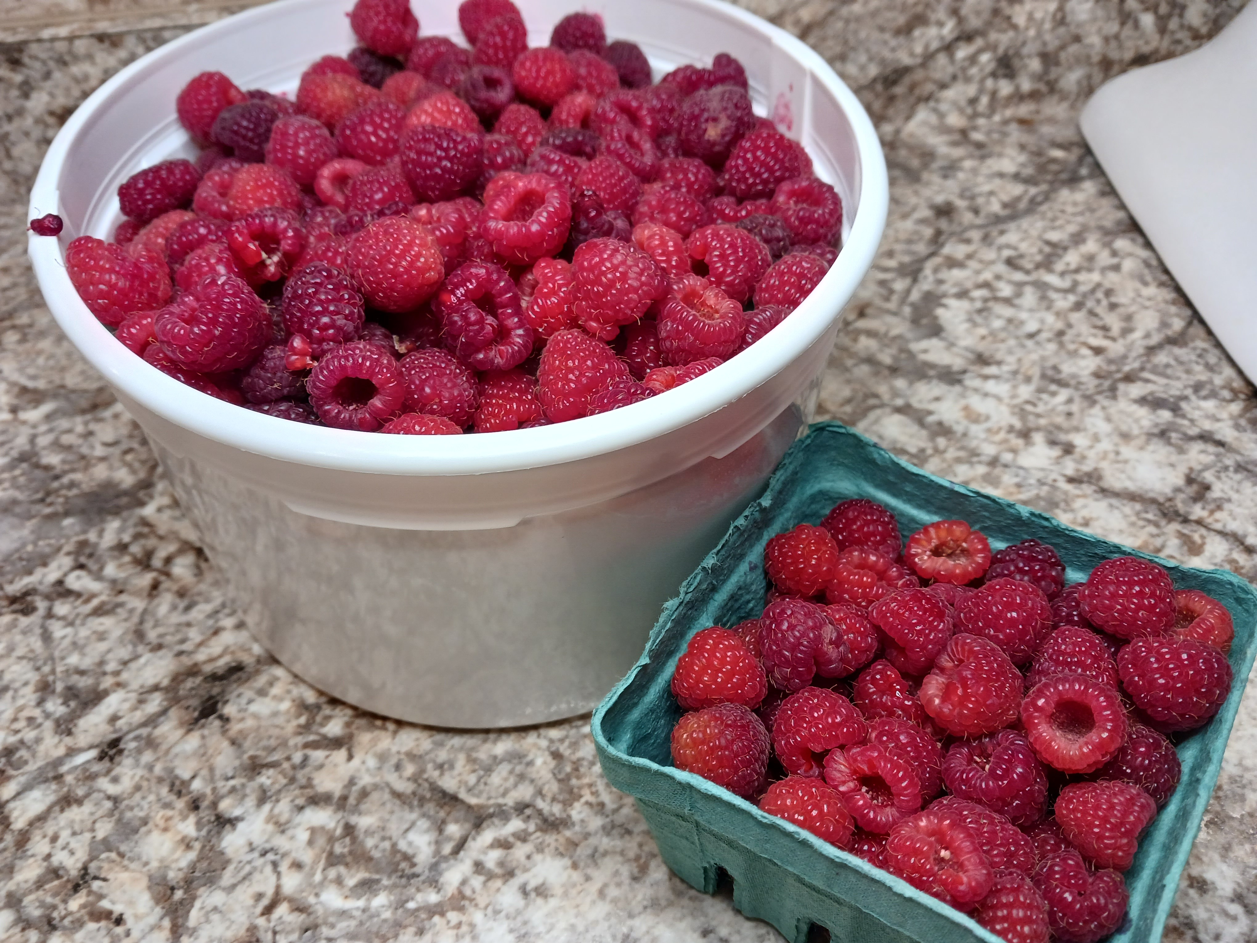 How to Pick, Make and then Can Raspberry Jam